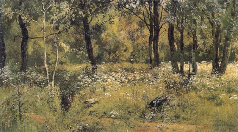 Ivan Shishkin The lawn in the forest France oil painting art